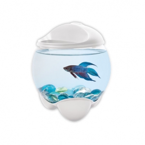 Tetra Betta Bubble. 1,8 литра. Tetra Betta Bubble. 1,8 литра.