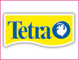 Tetra