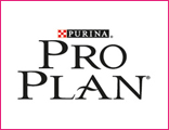 PRO PLAN